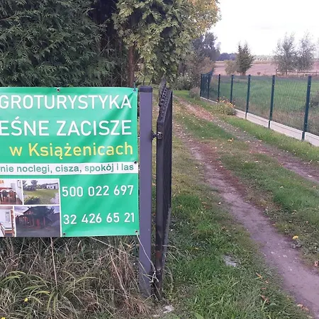 Lesne Zacisze Rybnik (Silesia)