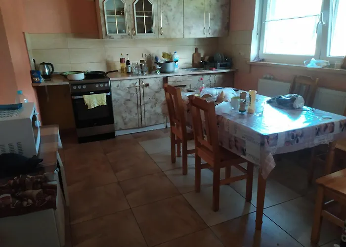 民宿 Lesne Zacisze *