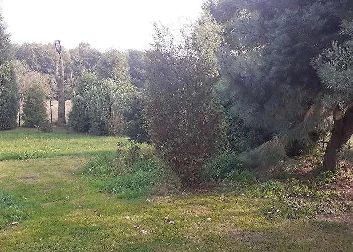 Lesne Zacisze 民宿 *