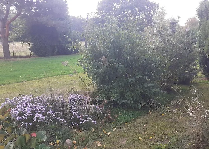 民宿 Lesne Zacisze