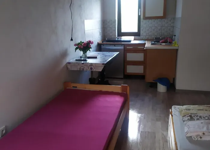 Lesne Zacisze 民宿 雷布尼克