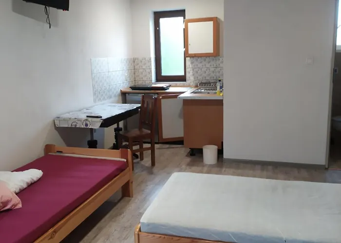 民宿 Lesne Zacisze 雷布尼克