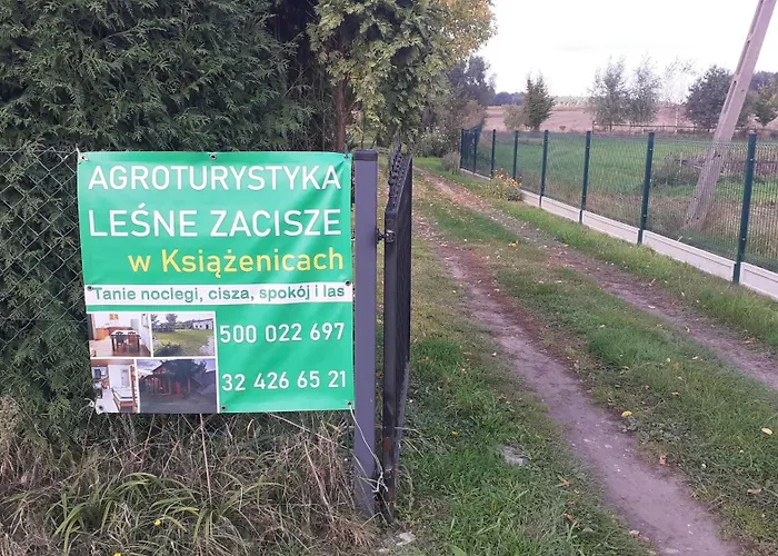 Lesne Zacisze 雷布尼克