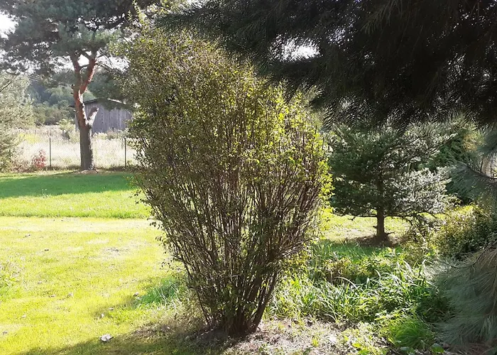 Lesne Zacisze 雷布尼克